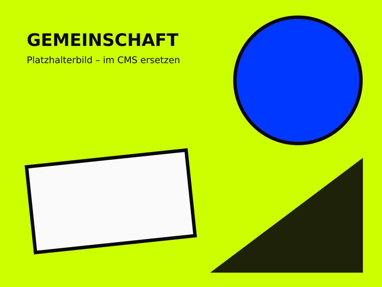 Platzhalterbild – Gruppenfoto der SSV
